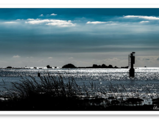 Contre-jour sur des roseaux, îlots de granit et mer d&#039;argent et réflexion du soleil pour un instant magique