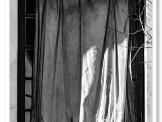 Fenêtre fantomatique, où le vent déplace le rideau et anime les ombres. Les tiges des lierres avancent comme des mains spectrales