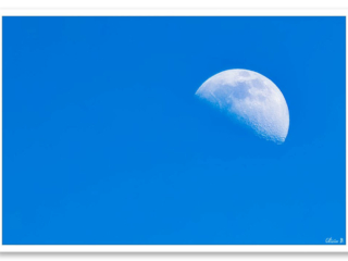 Lumineuse lune un après-midi d&#039;été dans le ciel de juillet
